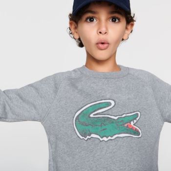 Lacoste Crocodile Graphic Fleece Sweatshirt Cinzentas | cKqEDNYk