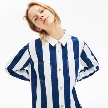 Lacoste LIVE Striped Algodão Shirtdress Branco Azul Marinho Azuis | GiZZ2jzx