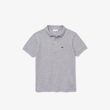 Lacoste Petit Piqué Polo Cinzentas | Wtpi8TYJ