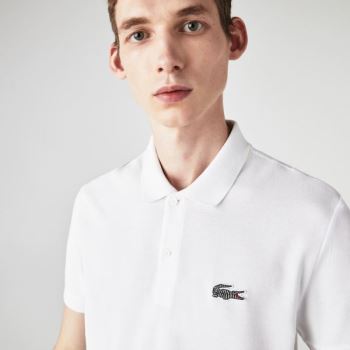 Lacoste x National Geographic Regular Fit Organic Algodão Polo Shirt Branco | lla3Pxzd