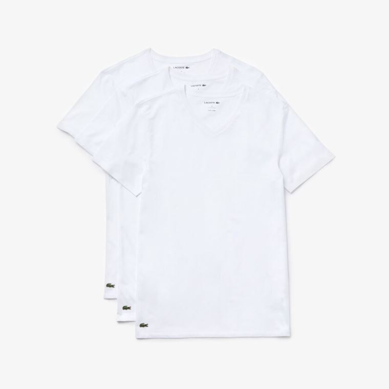 Lacoste 3 Pack of Plain T-Shirts Branco | s0vTtpyq