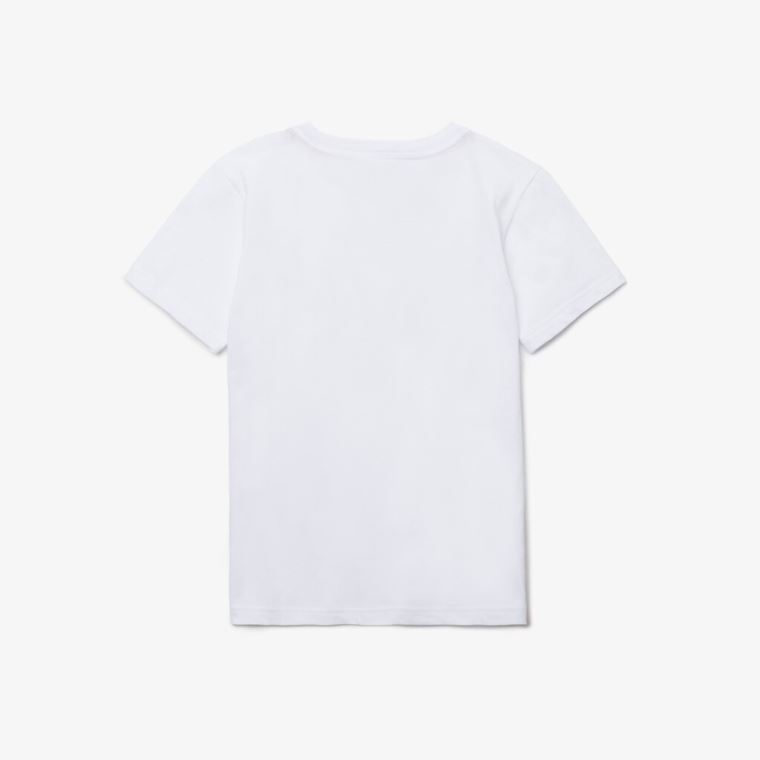 Lacoste Crew Neck Algodão Jersey T-shirt Branco | iW9HiAAS