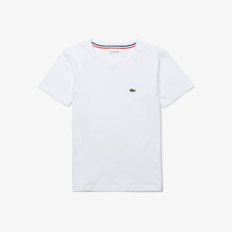 Lacoste Crew Neck Algodão Jersey T-shirt Branco | iW9HiAAS