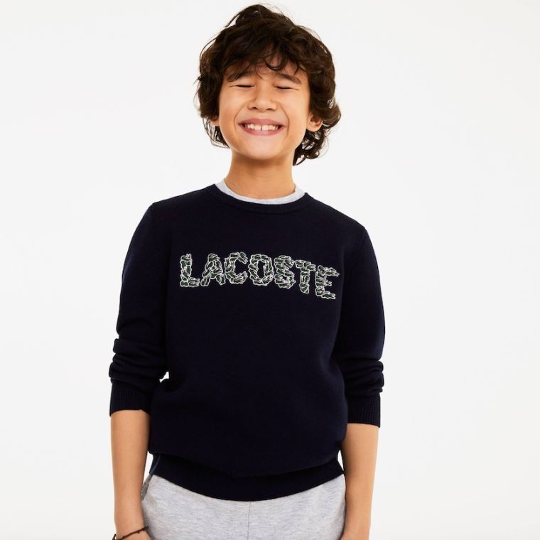 Lacoste Embroidered Croco Magic Wool And Algodão Moletom Azul Marinho Azuis | TW9bOAxb