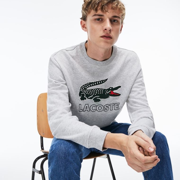 Lacoste Graphic Croc Sweatshirt Cinzentas | lypaKTfK