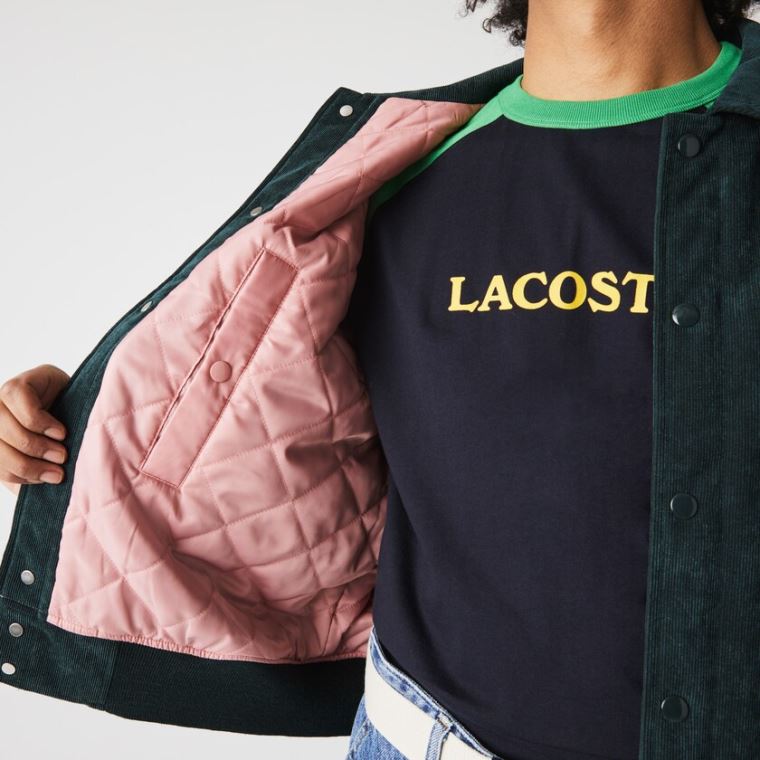 Lacoste LIVE Ribbed Velvet Bomber Jacket Verdes Escuro | 4OBhm4Dk