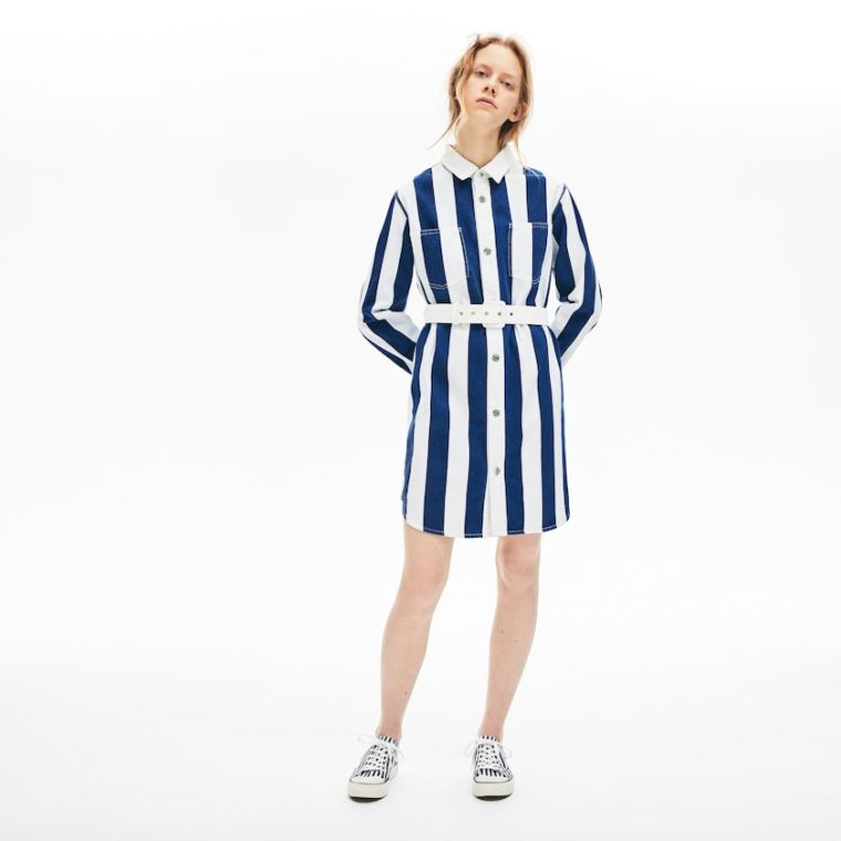 Lacoste LIVE Striped Algodão Shirtdress Branco Azul Marinho Azuis | GiZZ2jzx