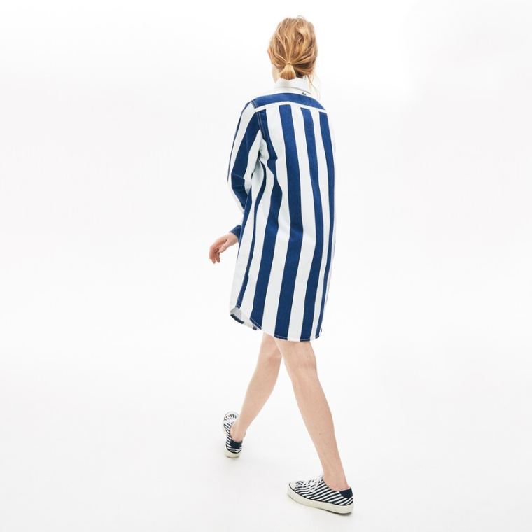 Lacoste LIVE Striped Algodão Shirtdress Branco Azul Marinho Azuis | GiZZ2jzx