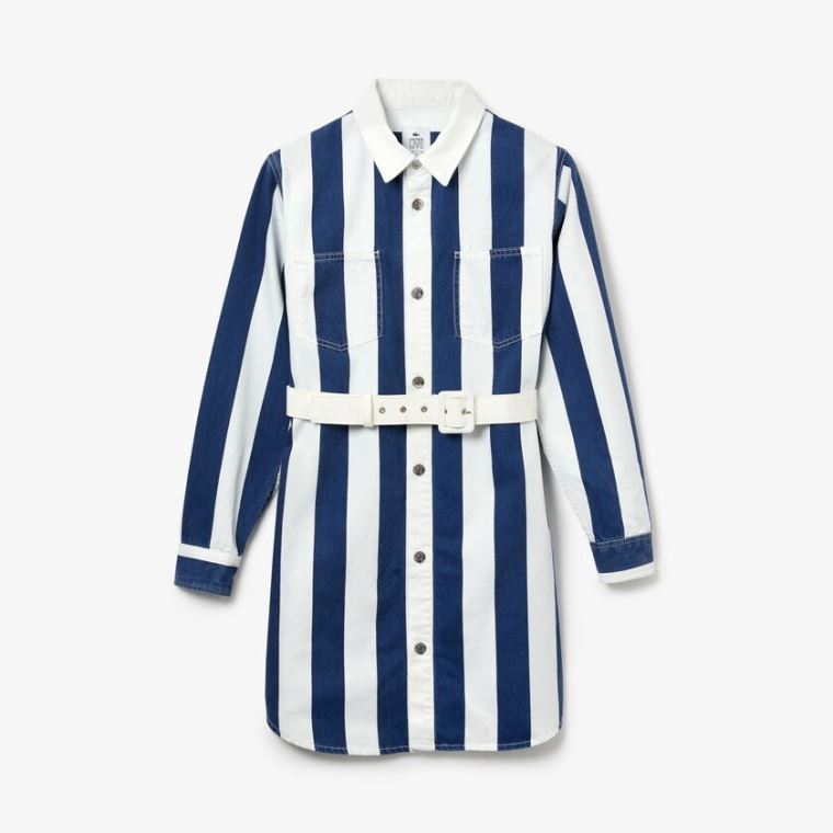 Lacoste LIVE Striped Algodão Shirtdress Branco Azul Marinho Azuis | GiZZ2jzx