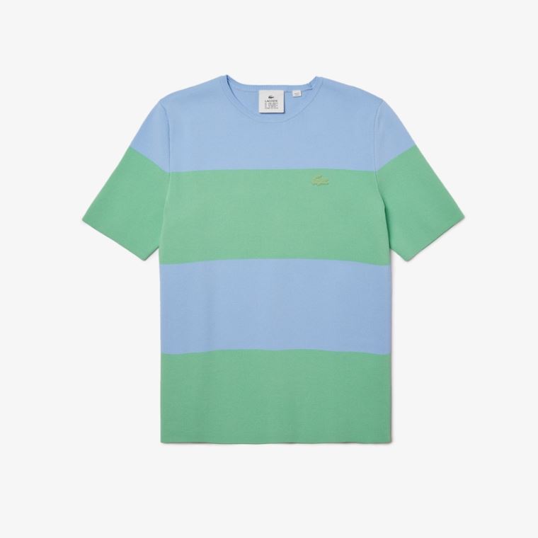 Lacoste LIVE Striped Knit Moletom Azuis Verdes | WGPzfwK0