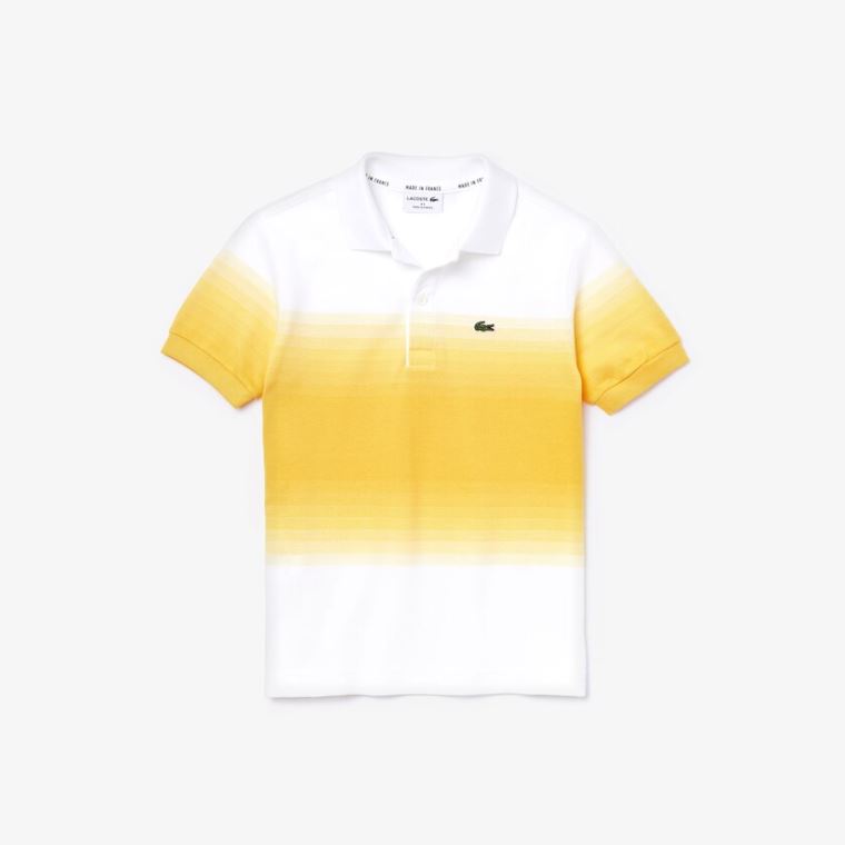 Lacoste Made in France Algodão Petit Piqué Ombré Polo Branco Amarelas | cDkfsT4G