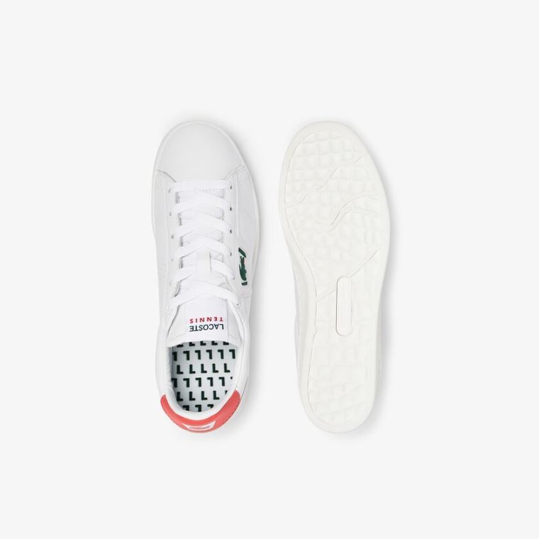 Lacoste Masters Classicos Couro Sneakers Branco Bege | auA1SiDg