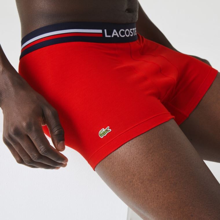 Lacoste Pack Of 3 Iconic Boxer Cuecas With Three-Tone Waistband Azul Marinho Azuis Cinzentas Vermelhas | hu5lZCZz