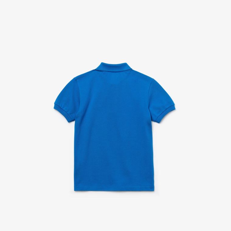 Lacoste Petit Piqué Polo Azuis | CFaSdBqX