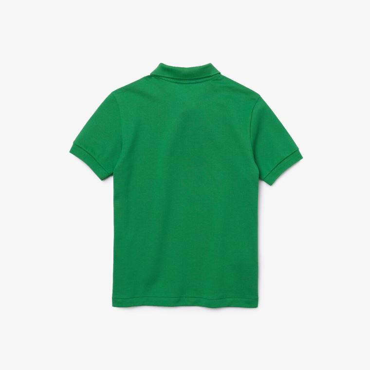 Lacoste Petit Piqué Polo Verdes | BB3Ji32S