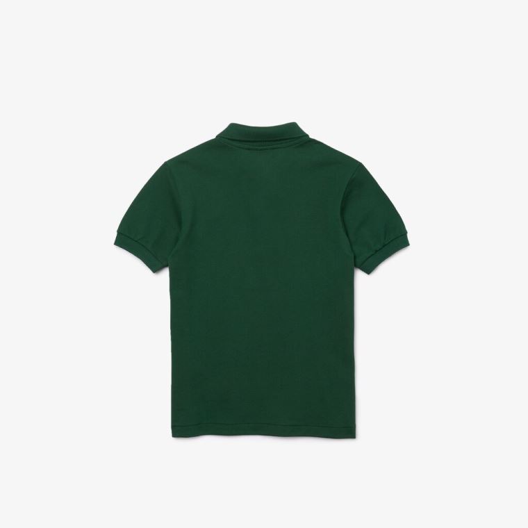 Lacoste Petit Piqué Polo Verdes | e056GJlN