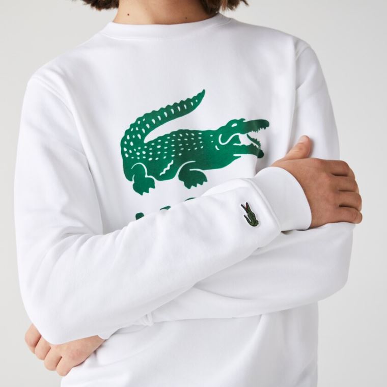 Lacoste Printed Logo Fleece Crew Neck Sweatshirt Branco | PNk5RVoV