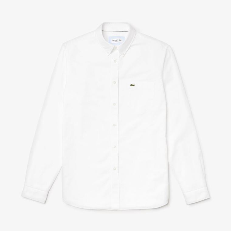 Lacoste Regular Fit Algodão Oxford Shirt Branco | ARewvd2N