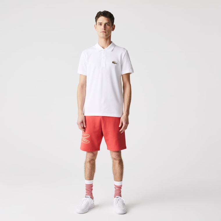 Lacoste Regular Fit Algodão Piqué Polo Branco | 0xlNAfK4