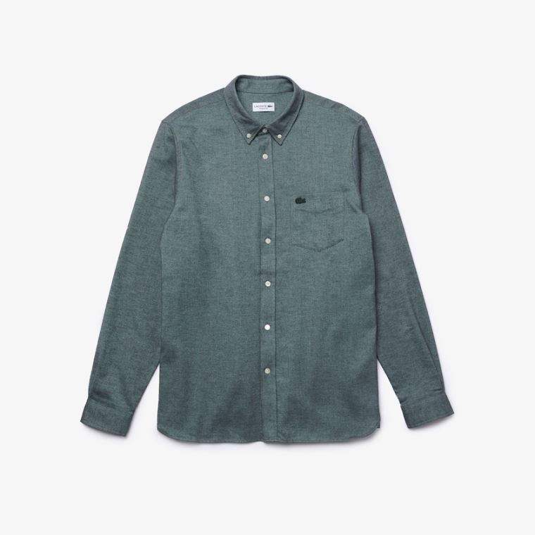 Lacoste Regular Fit Brushed Effect Algodão Shirt Verdes Azuis | m5EIBW7E