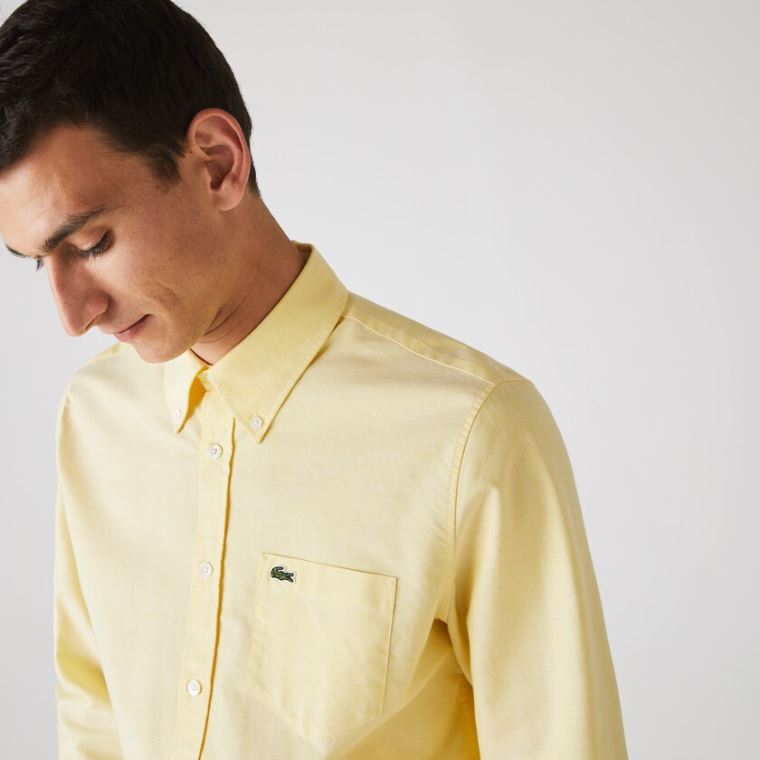 Lacoste Regular Fit Oxford Algodão Shirt Amarelas | h9Gyb4GN