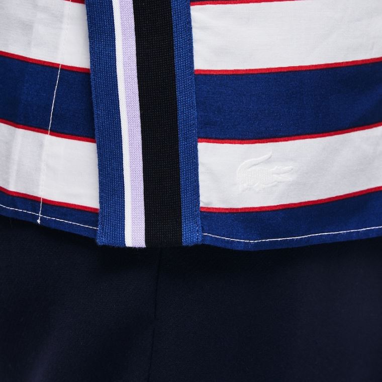 Lacoste Regular Fit Striped Algodão & Silk Voile Shirt Branco Azul Marinho Azuis Vermelhas | daCcoFDU