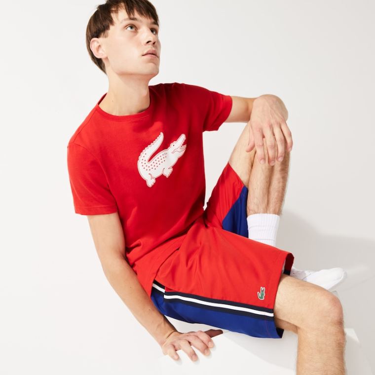 Lacoste SPORT Contrast Band Two-Tone Leves Shorts Vermelhas Azuis | I6SQlJoB