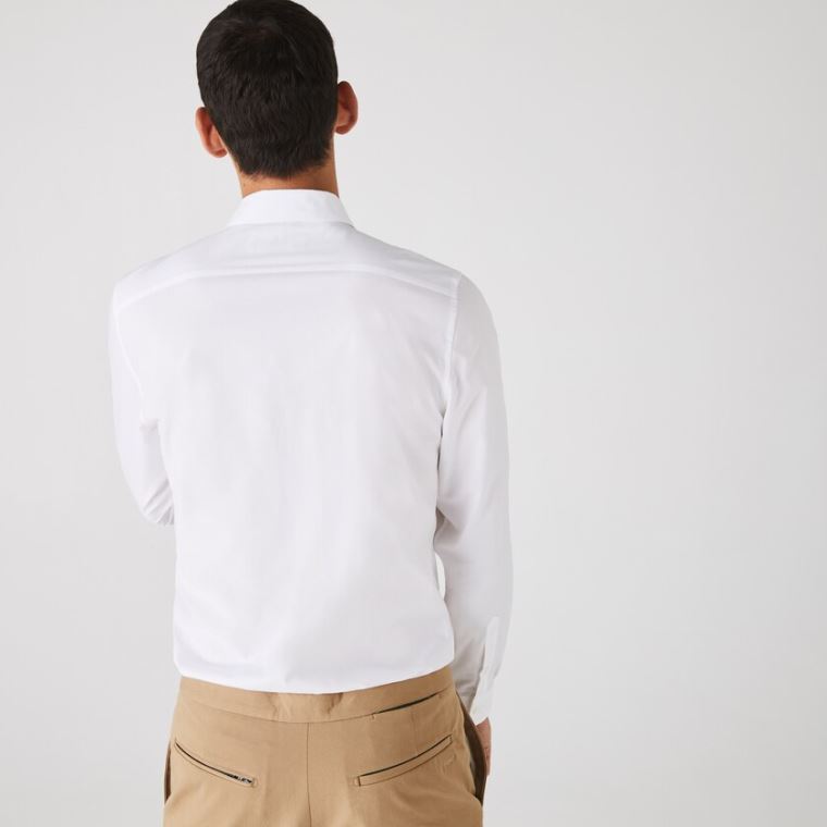 Lacoste Slim Fit Stretch Algodão Poplin Shirt Branco | ZfR4mVfG