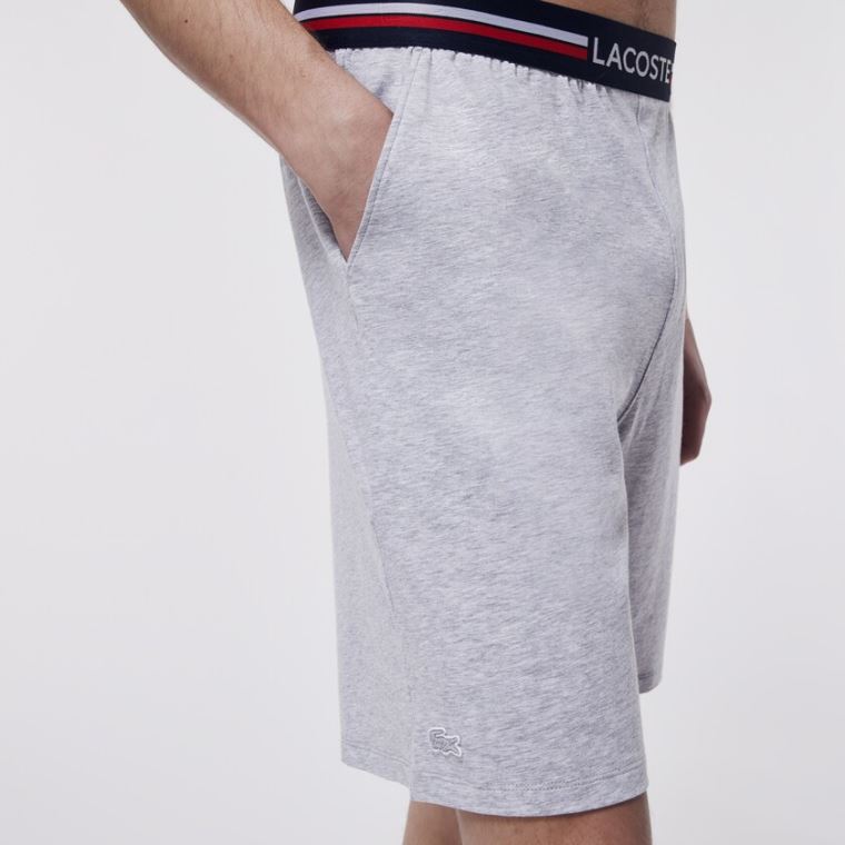 Lacoste Striped-Cintura Long Boxer Cuecas Cinzentas | crywyOCq