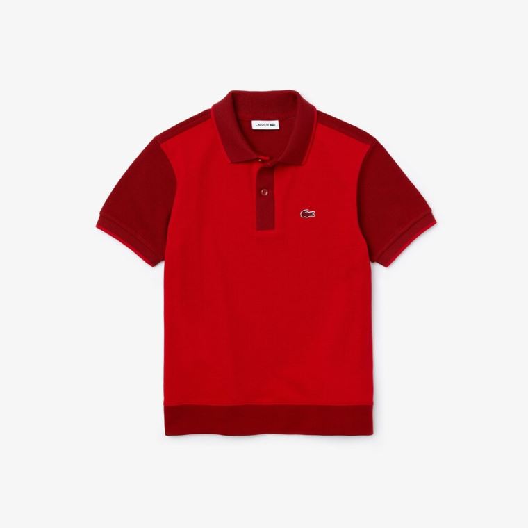 Lacoste Two-Tone Algodão Piqué Polo Vermelhas Vermelhas Escuro | neu3u86G