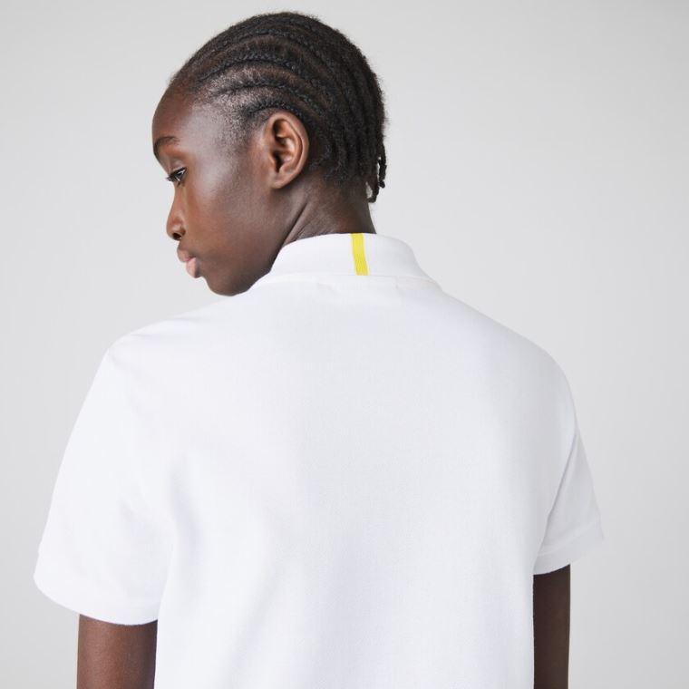 Lacoste x National Geographic Algodão Piqué Polo Shirt Branco | Wh9mUAna