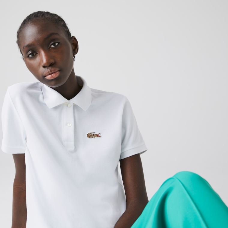 Lacoste x National Geographic Algodão Piqué Polo Shirt Branco | Wh9mUAna