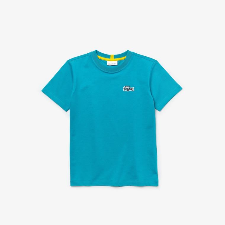 Lacoste x National Geographic Algodão T-shirt Azuis Branco | JY68TAvm