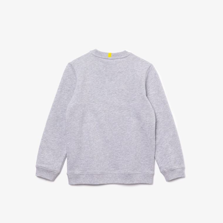 Lacoste x National Geographic Fleece Sweatshirt Cinzentas Branco | ioM3yvo0