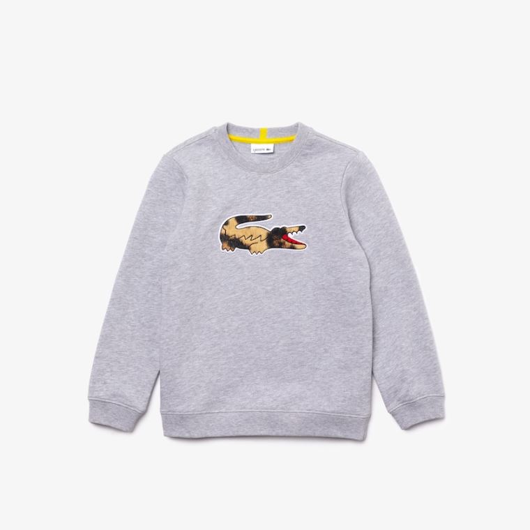 Lacoste x National Geographic Fleece Sweatshirt Cinzentas Branco | ioM3yvo0