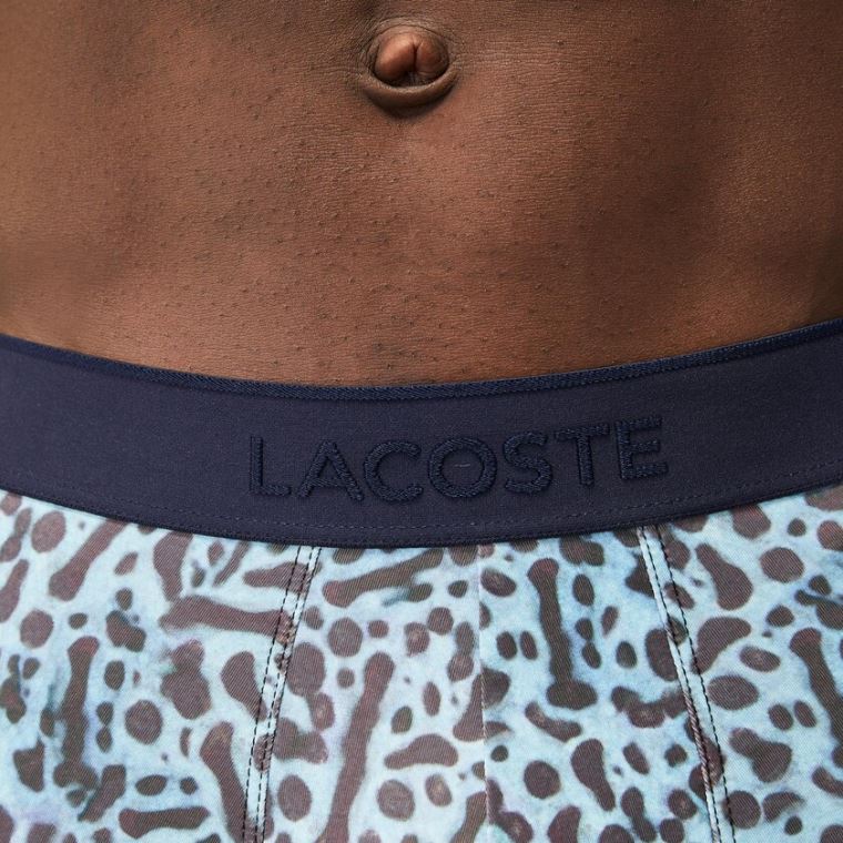 Lacoste x National Geographic Polyester Trunk Branco | oSk3UT5u