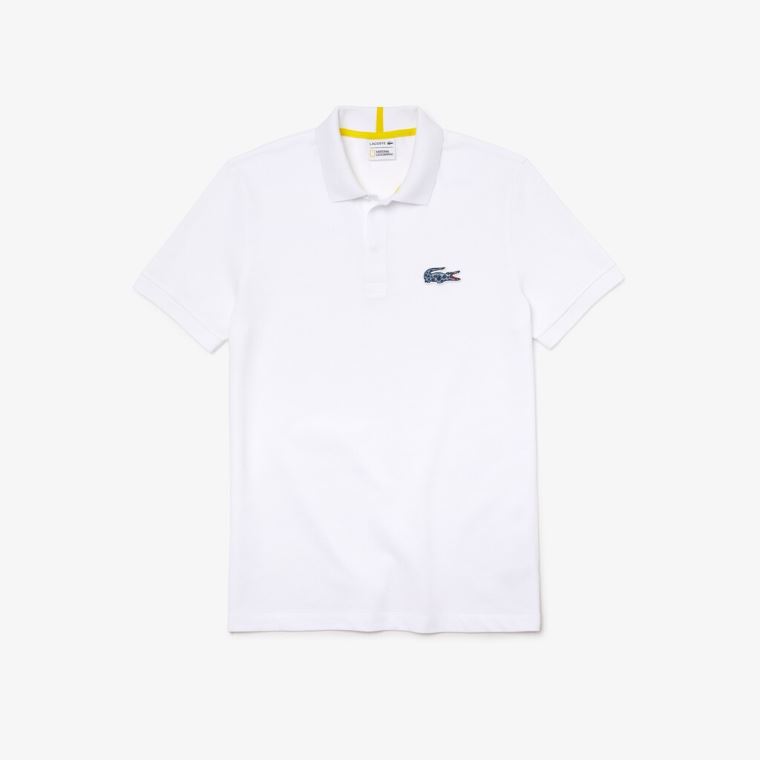 Lacoste x National Geographic Regular Fit Organic Algodão Polo Shirt Branco | 18Oz0Z9c