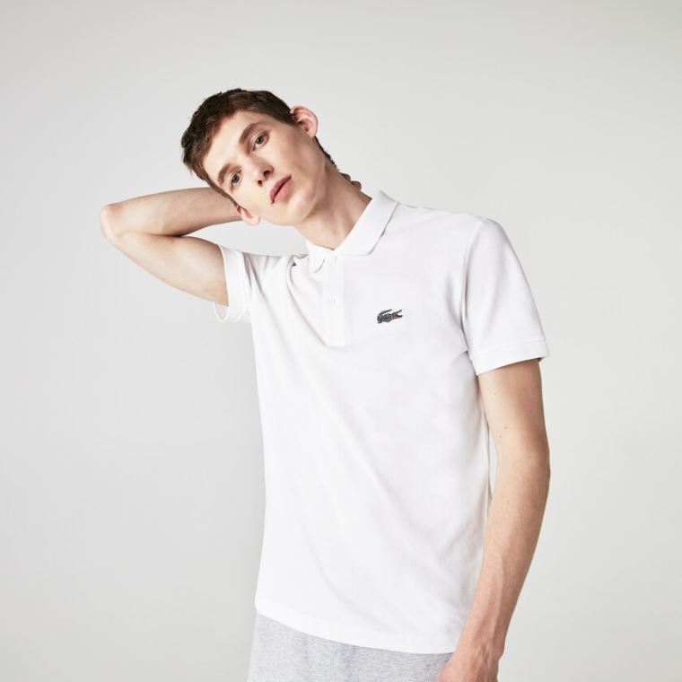 Lacoste x National Geographic Regular Fit Organic Algodão Polo Shirt Branco | Kg8irO7n