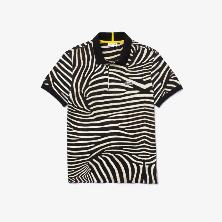 Lacoste x National Geographic Regular Fit Print Algodão Polo Shirt Laranja Azul Marinho Azuis | OPUxyQJr