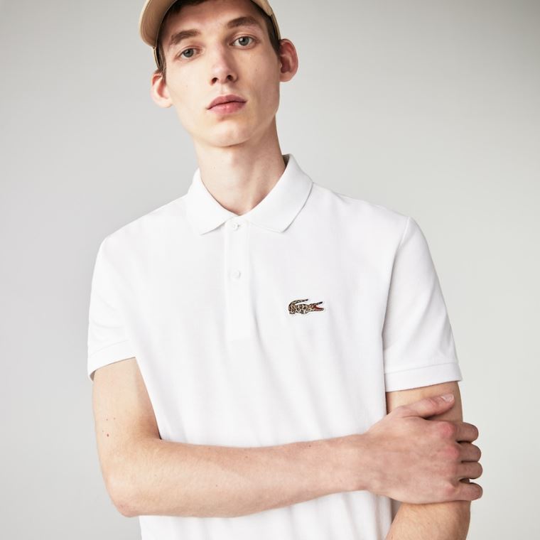 Lacoste x National Geographic Regular Fit Organic Algodão Polo Shirt Branco | etmgEM0U