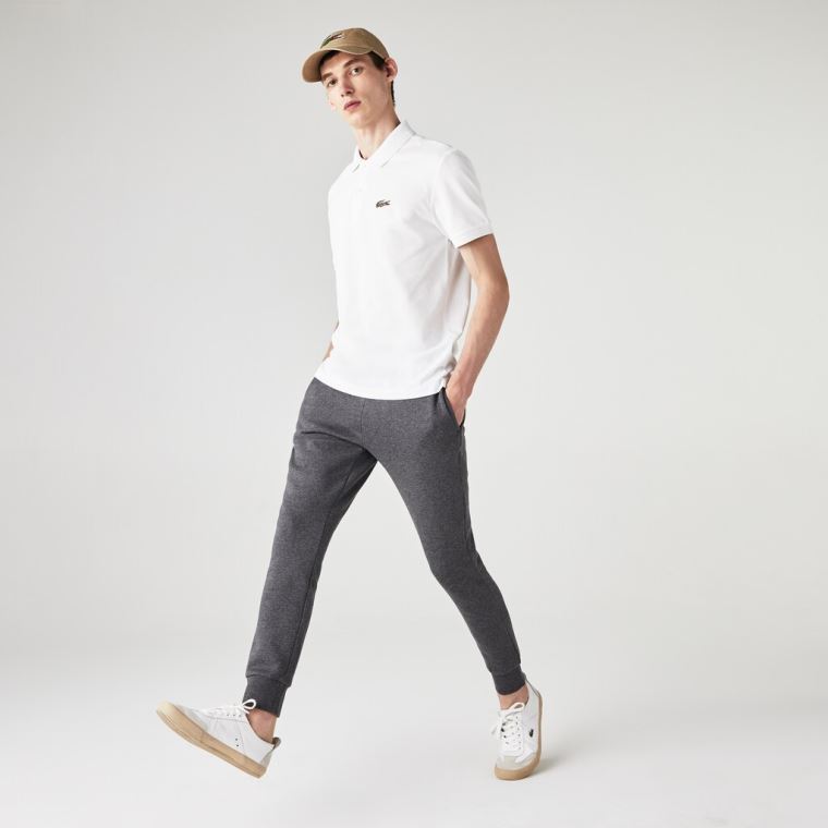 Lacoste x National Geographic Regular Fit Organic Algodão Polo Shirt Branco | qFqWouvu