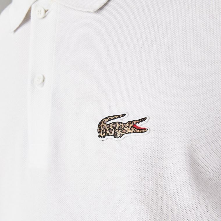 Lacoste x National Geographic Regular Fit Organic Algodão Polo Shirt Branco | qFqWouvu