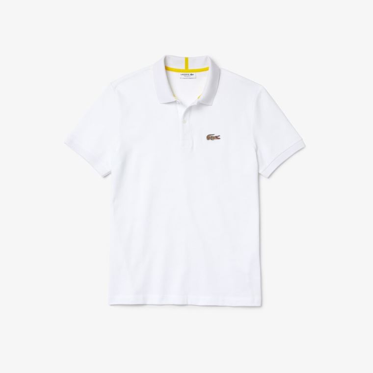 Lacoste x National Geographic Regular Fit Organic Algodão Polo Shirt Branco | qFqWouvu